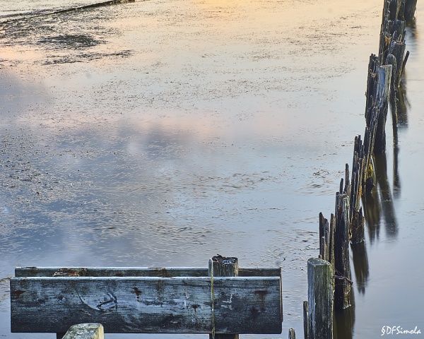 Duck Dock Detail