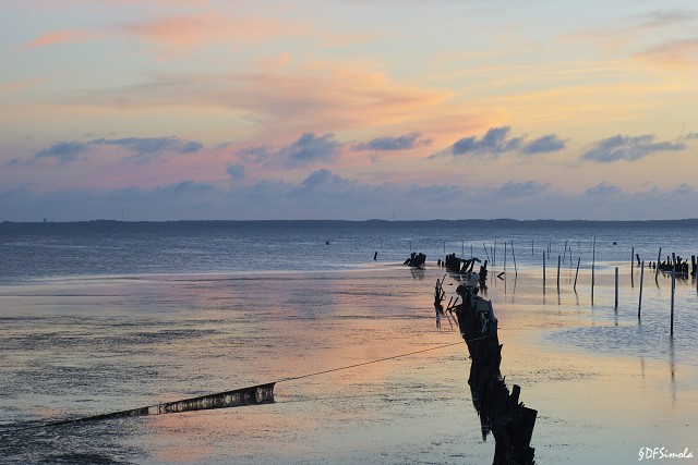 Duck Dock Dusk