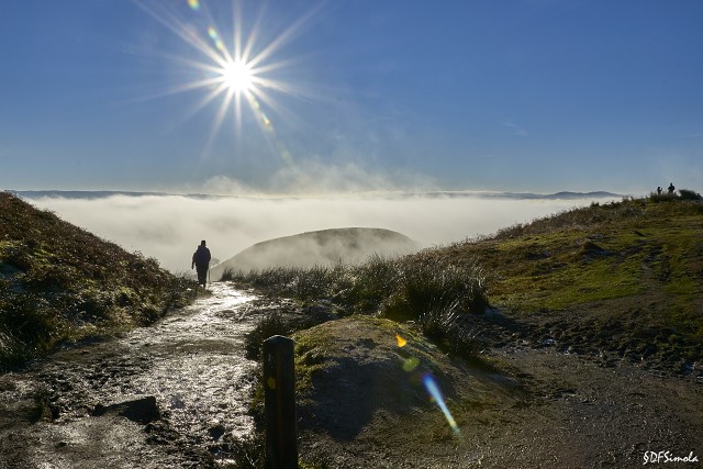 Misty Mountain Top