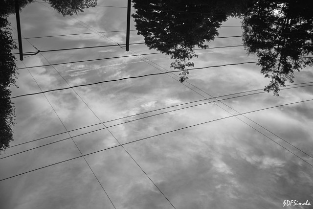 Power Lines