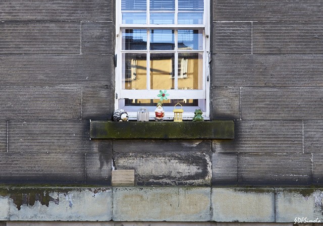 Window Decor, Edinburgh